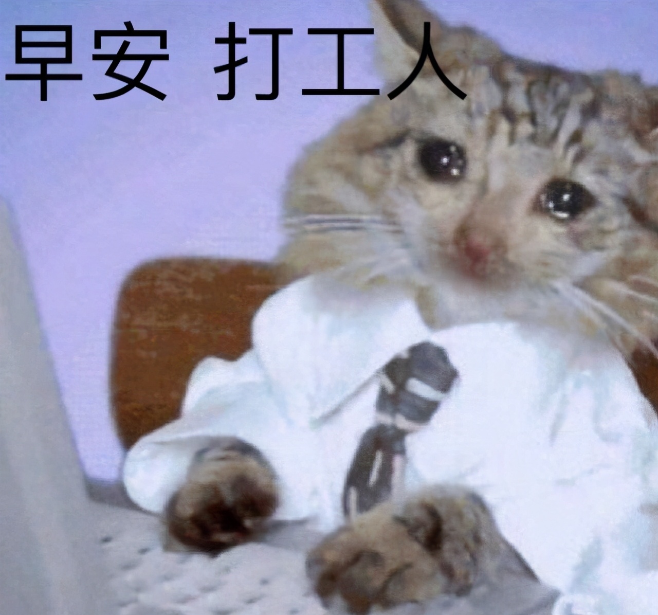 最强打工人！李佳琦预售卖35亿，却被曝卖假货？直播带货坑太多