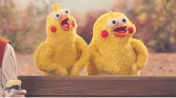 值得推荐的北京特色小馆,来北京必吃的100家胡同小馆