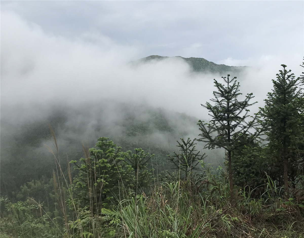 广西桂林摩托车骑行龙胜,广西桂林恭城摩托车行