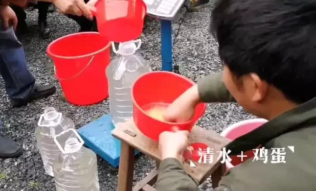 金牌土壤医疗师文龙老师谈“自然农法”，酵素和微生物菌改良土壤