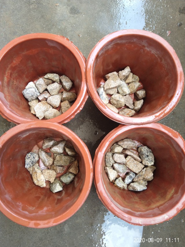 芦荟怎么养才能养得更好,芦荟在阴坡养还是在阳坡养好