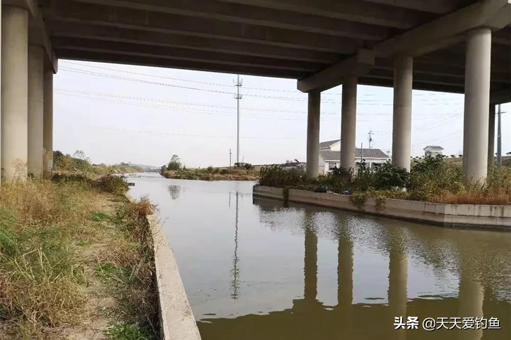 惊蛰怎样的天气好钓鲫鱼,清明阴雨天还能野钓鲫鱼吗