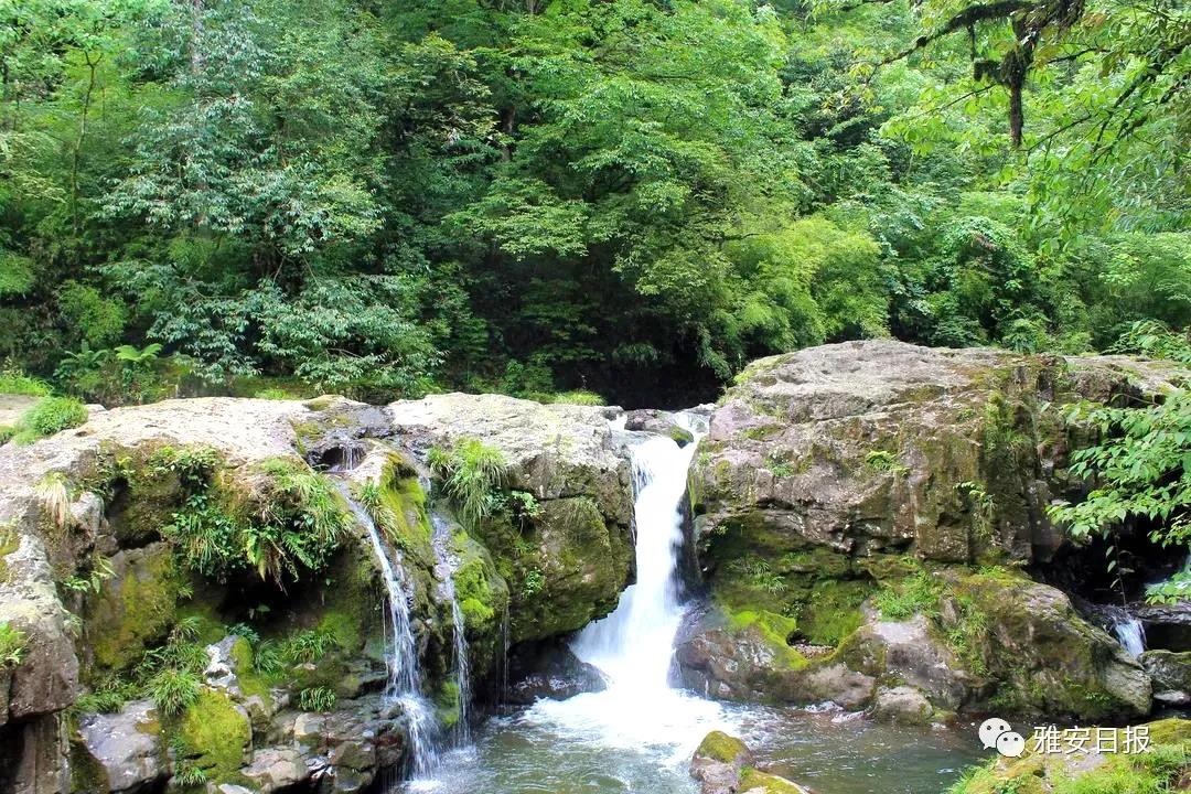 来雅安旅游,雅安二郎山休闲特色民宿