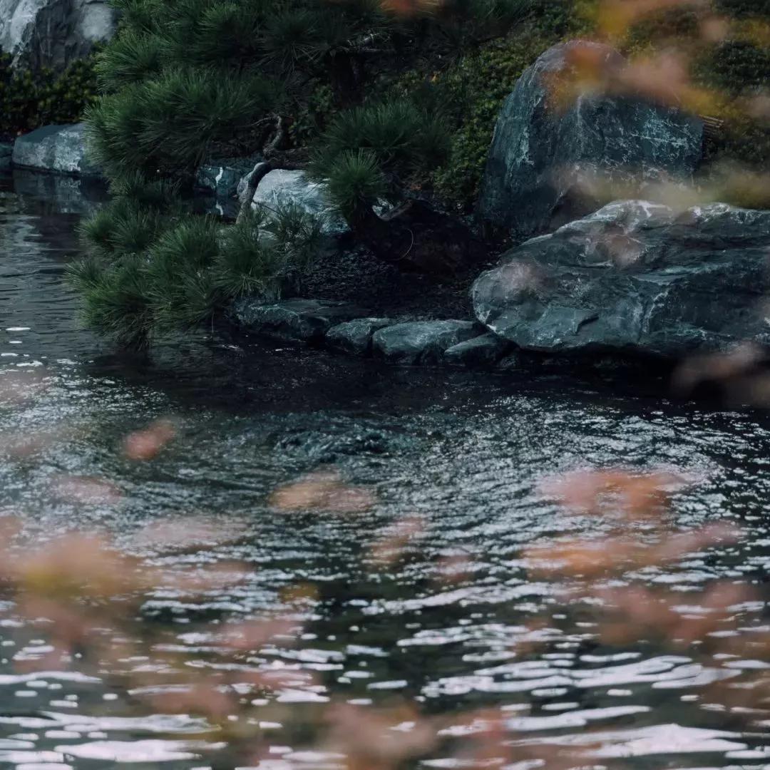 苏州山水樾澜庭劣势,苏州山水樾澜庭