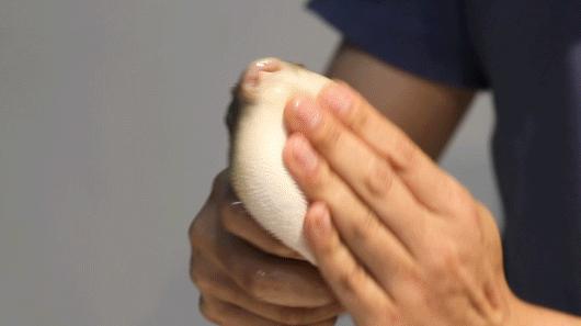 宝安人的顺德饭堂,生蚝用木桶蒸,还加黑松露