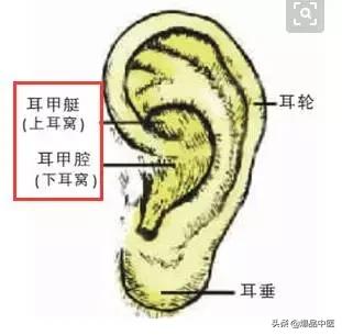 耳尖刺血后遗症有哪几种,耳尖刺血的作用与功效