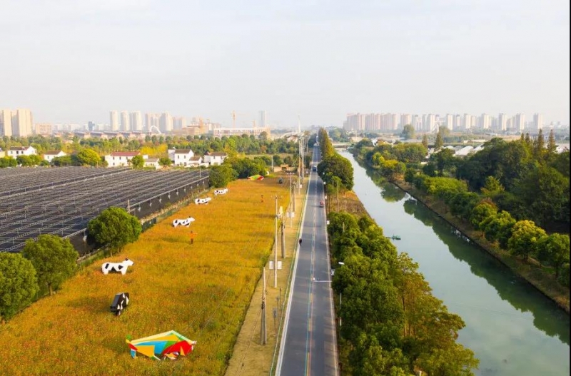 久居城市就会向往乡村的田园生活,向往的田园生活的感悟