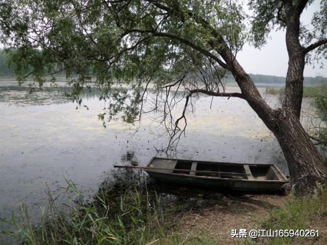 天然大钓场,天然氧吧钓场