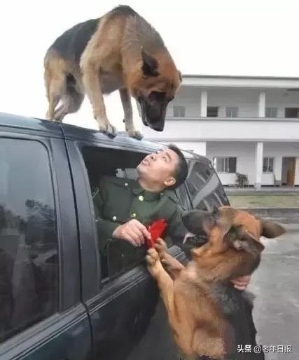 朋友圈最火的6张图片道破人性,朋友圈最火的4张图片道破人性