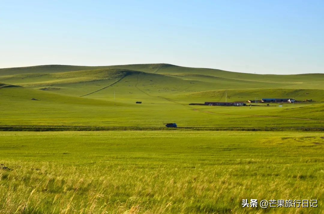 带妈妈旅游去西藏,带妈妈去内蒙