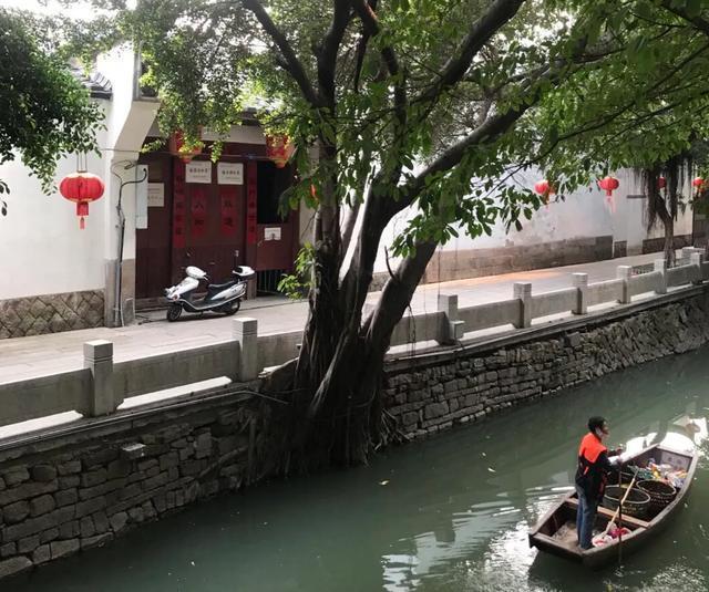 两院增选院士133人名单公布籍贯,2021年两院院士候选人籍贯人数