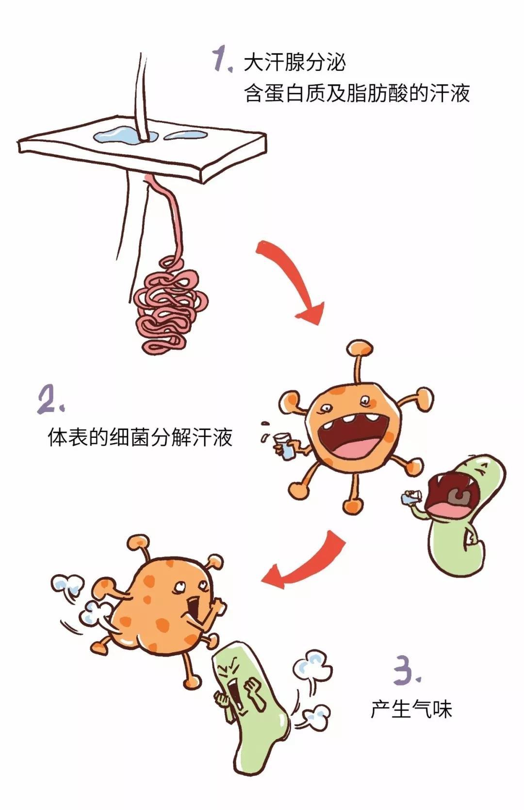 拒绝“腋”来香|精油调配体香剂，化解夏日尴尬