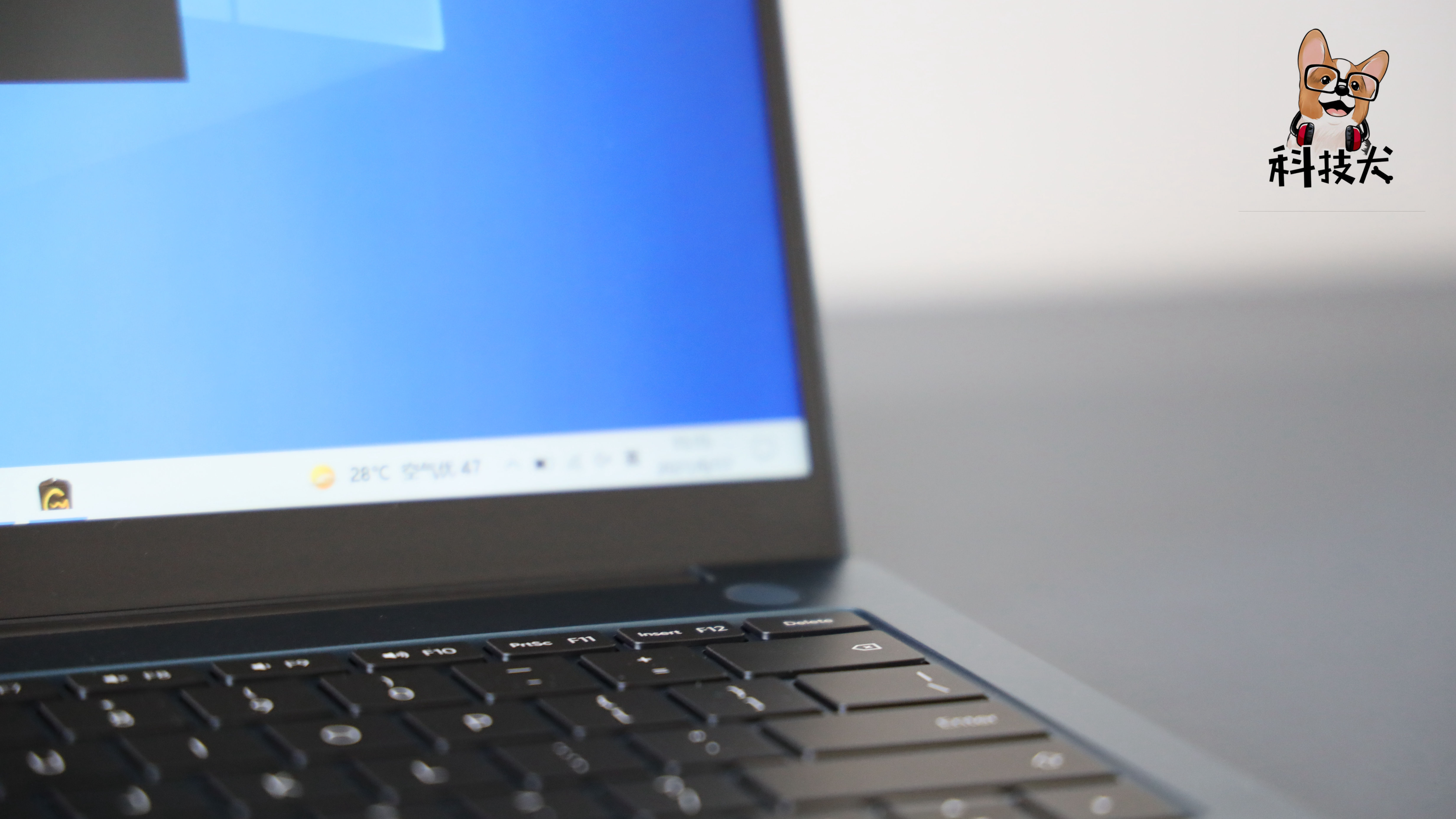 柯基狗幼犬多少钱一只,柯基犬最值得买的耳机