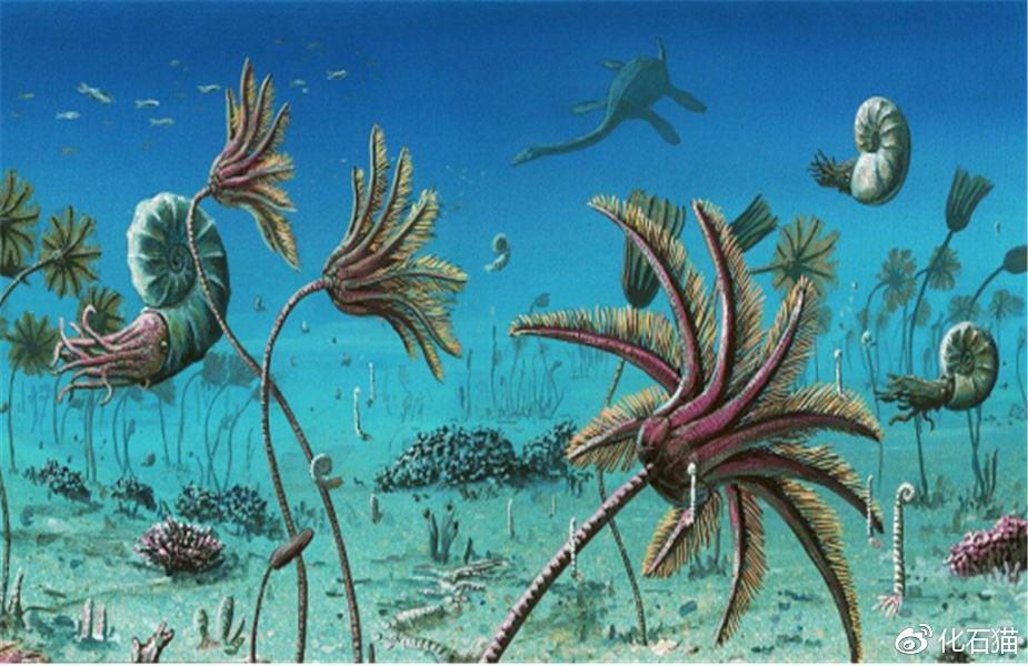 “蛇、蟒、猫、龙、细胞”，5本非人类的小说，让人感叹脑洞太大