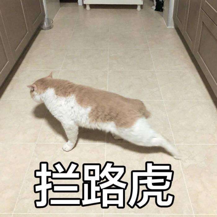 美白成分中谁最有用,美白成分一般排在第几位