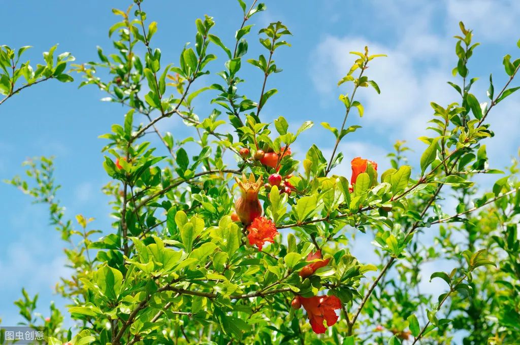 牛街属于南城吗,牛街名字的由来