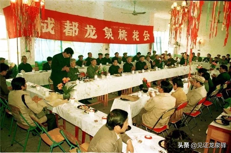 回顾龙泉驿百年变迁简报,龙泉驿区发展展望