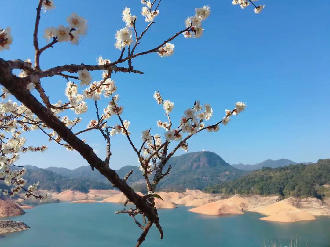 「山水中国」2021年1月｜|才入南湖烟雨路，梅开十里合春云