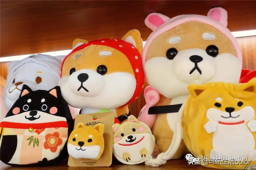 撸柴宠物乐园,广州番禺撸狗圣地