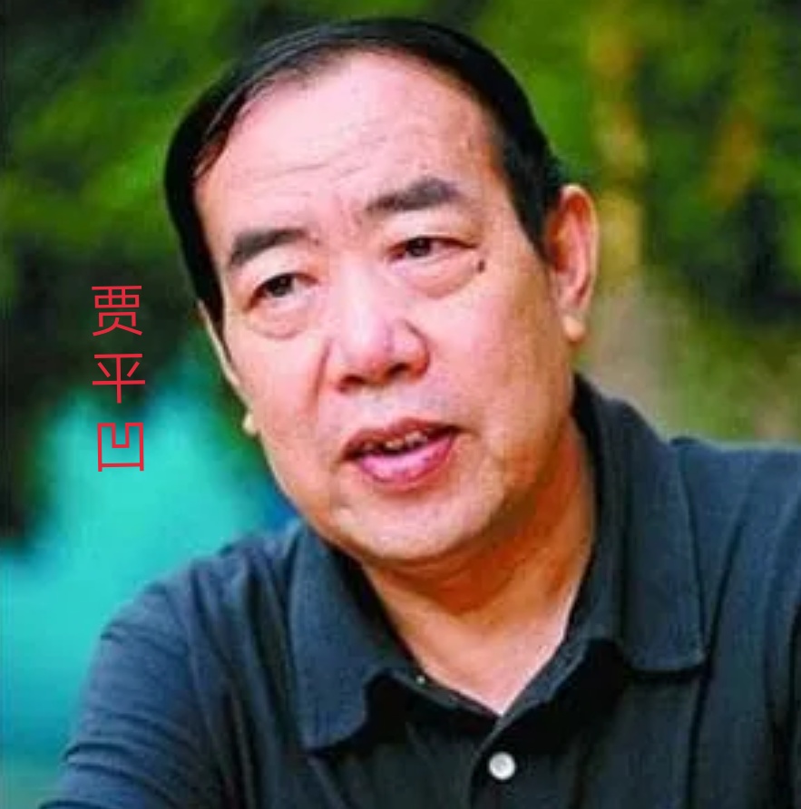 商洛人民的陕西美食,商洛人家乡味美食记录