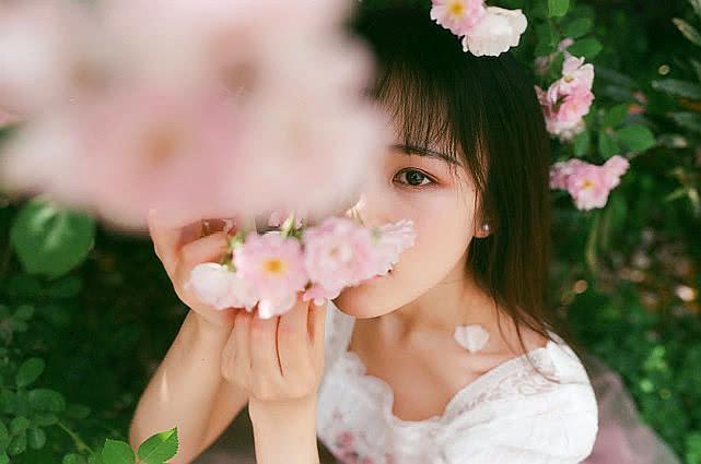 满架蔷薇一院香,开到荼靡花事了