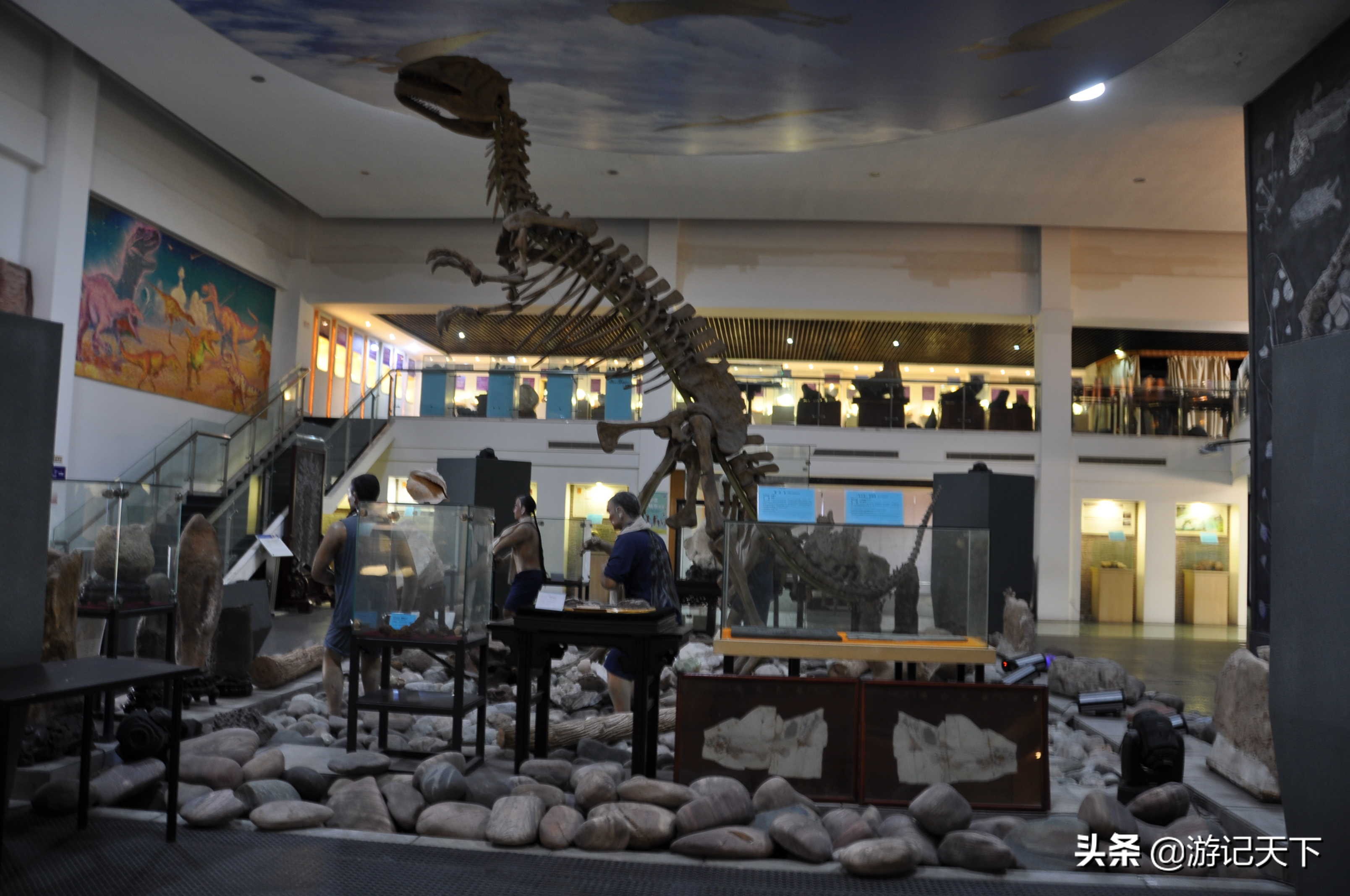 阿尼亚参观博物馆,上海地质科普馆游玩