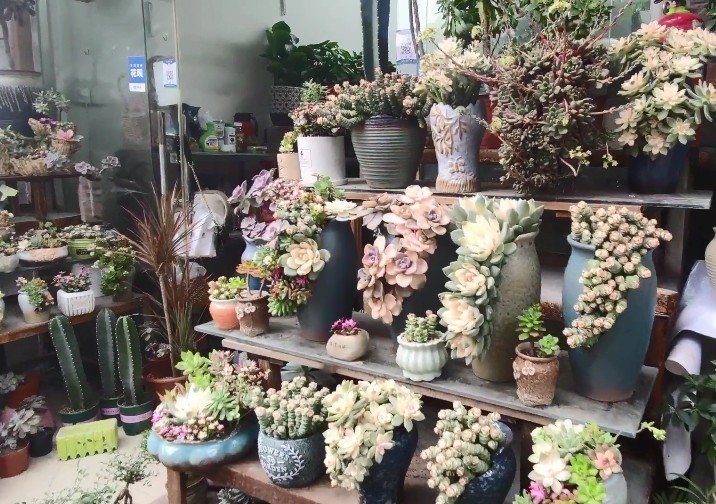 <html>
<head><title>502BadGateway</title></head>
<body>
<center><h1>502BadGateway</h1></center>
<hr><center>nginx</center>
</body>
</html>
<!--apaddingtodisableMSIEandChromefriendlyerrorpage-->
<!--apaddingtodisableMSIEandChromefriendlyerrorpage-->
<!--apaddingtodisableMSIEandChromefriendlyerrorpage-->
<!--apaddingtodisableMSIEandChromefriendlyerrorpage-->
<!--apaddingtodisableMSIEandChromefriendlyerrorpage-->
<!--apaddingtodisableMSIEandChromefriendlyerrorpage-->
