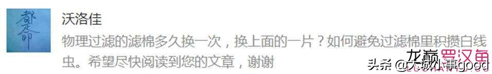 过滤棉讲解,物理过滤滤棉选择