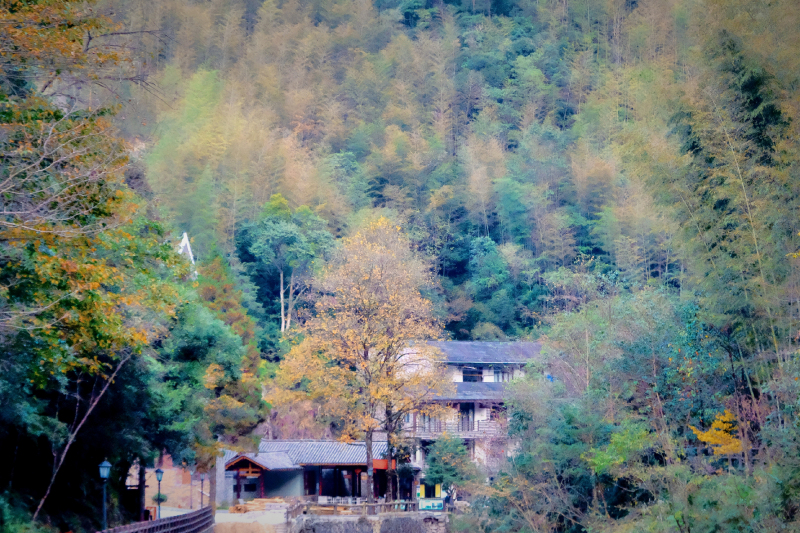 温州文成自驾游攻略最佳路线推荐,温州旅游攻略泰顺路线推荐