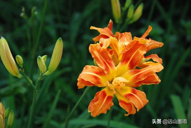 植物科学活动,第二十届公众科学日合肥