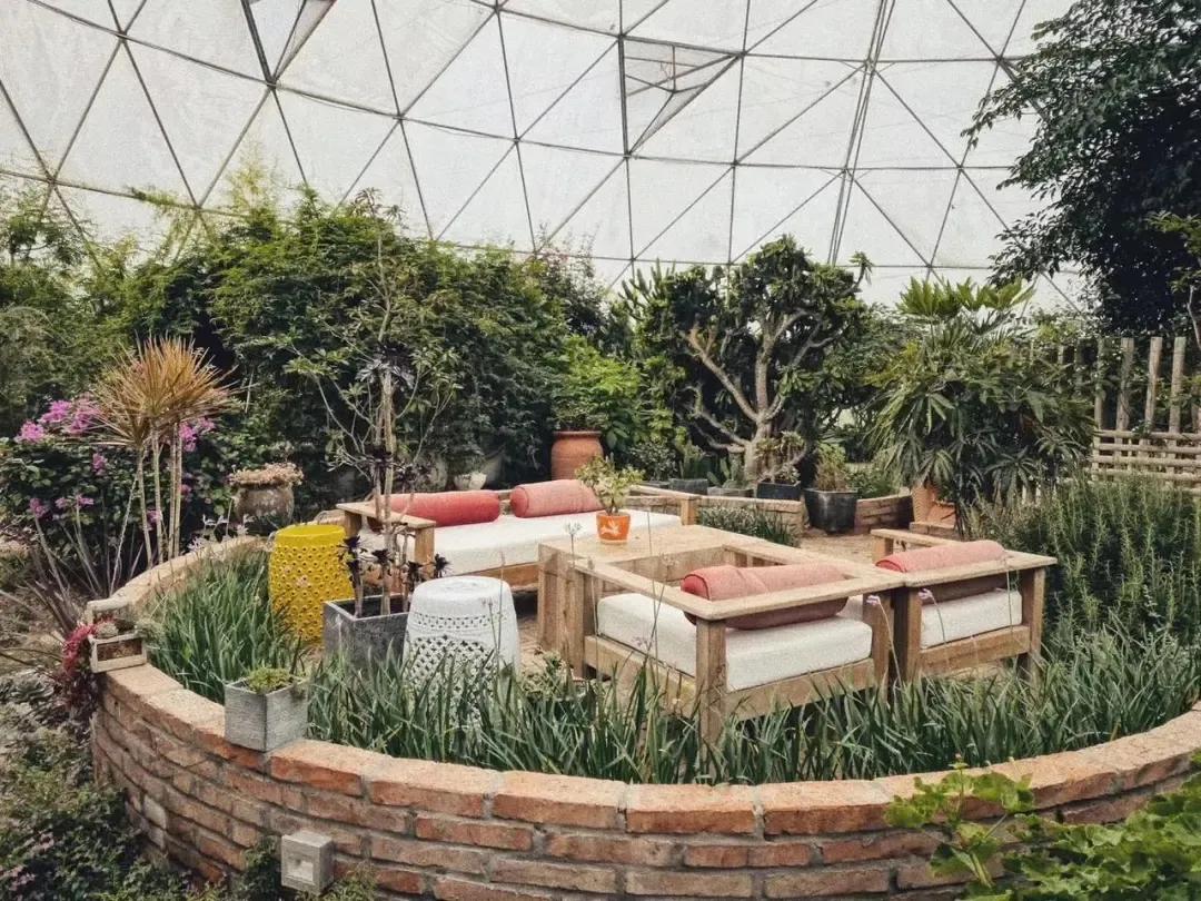 用低成本打造高颜值农场,广东夫妇超省钱