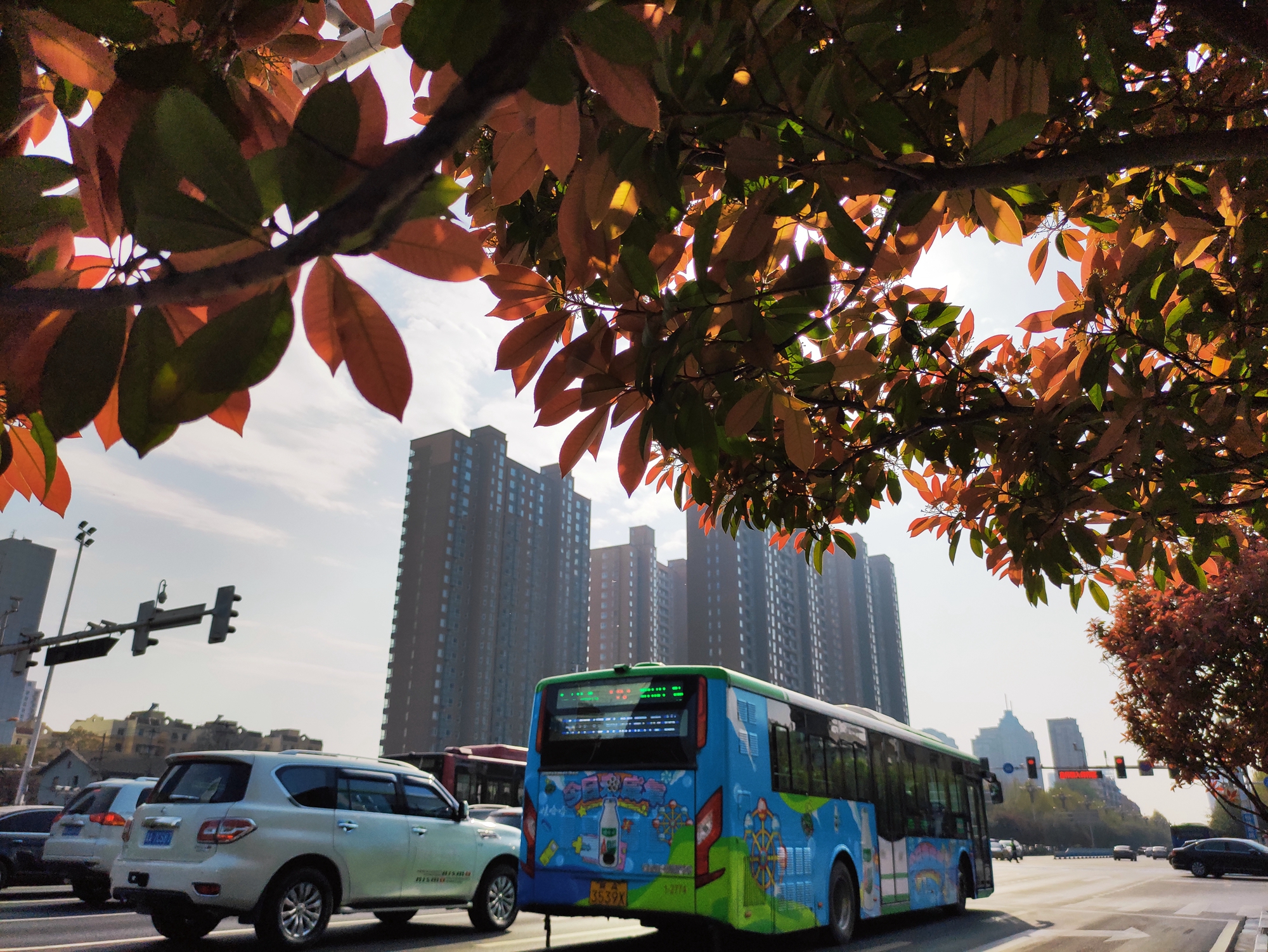 石家庄气候,石家庄属于什么气候