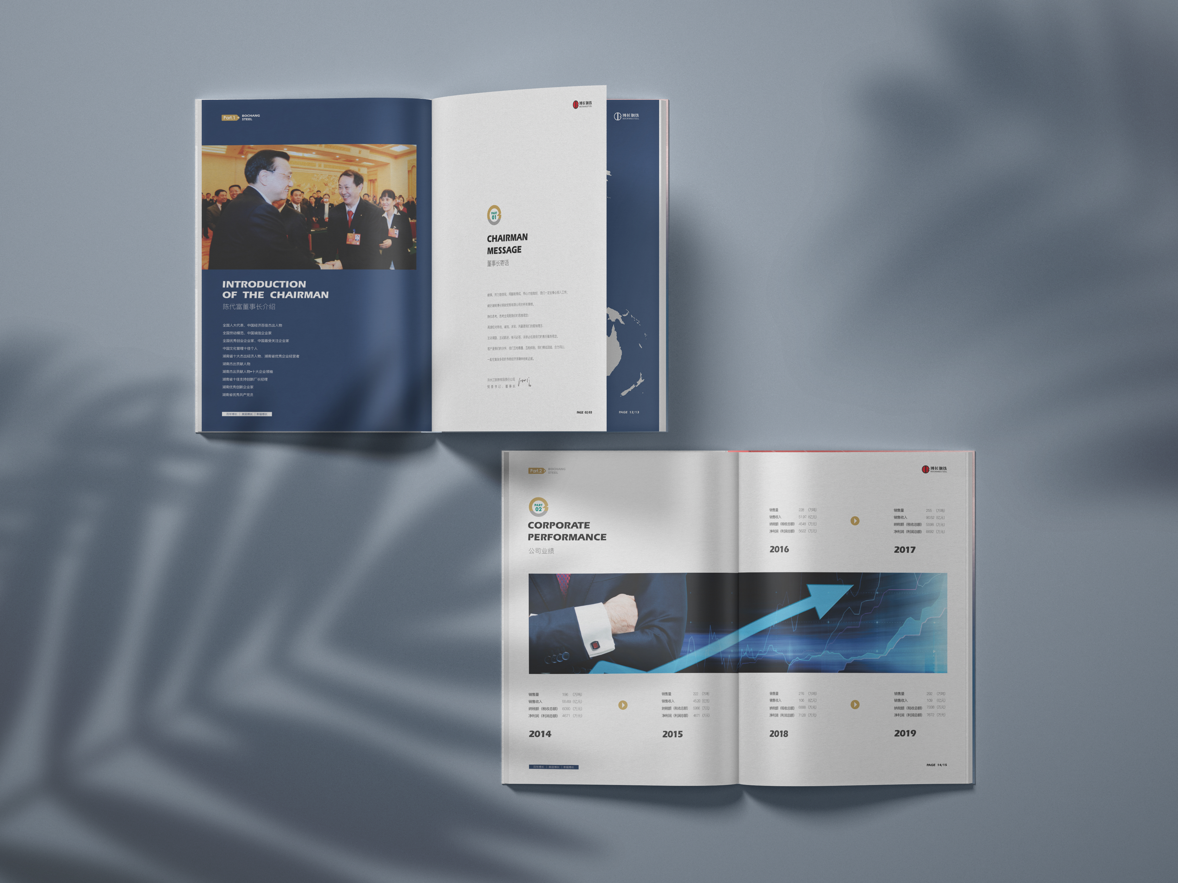 常德博长钢铁贸易有限公司,衡阳博长钢铁贸易有限公司技改