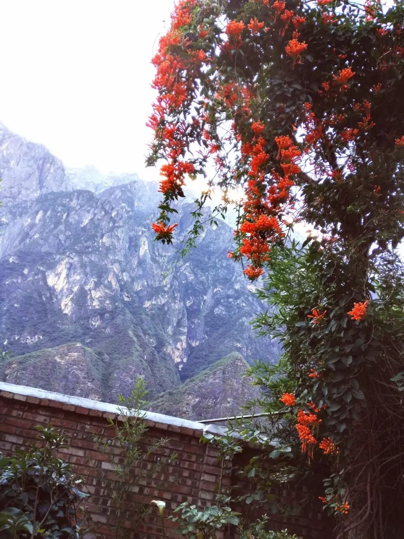 云南虎跳峡徒步线路初级,虎跳峡徒步28道弯