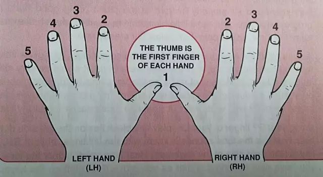 钢琴乐谱新手入门,钢琴和弦知识入门教学视频