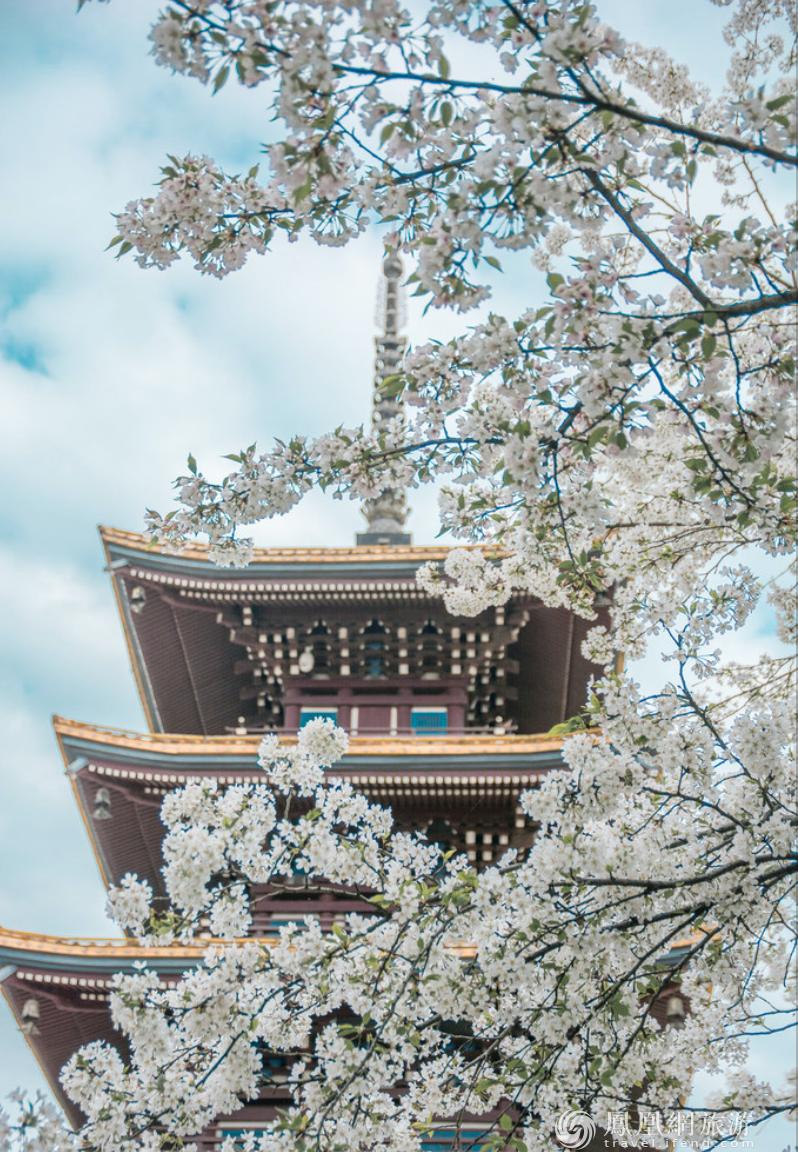 武汉重启震撼视频,武汉重启全程