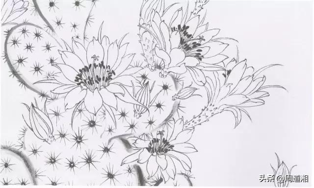 勾线笔每个型号的用处,最常用的勾线笔