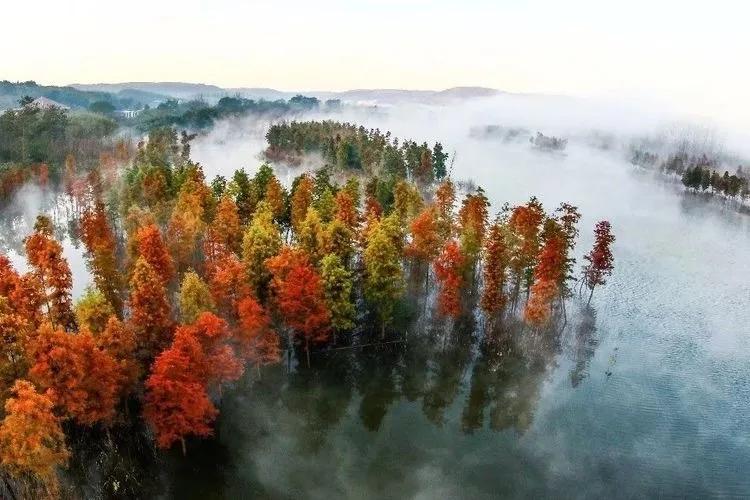 盱眙铁山寺:飘渺林雾入画境