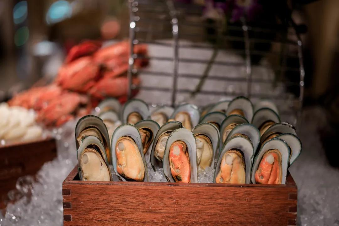 广州宝藏酒店推荐,广州番禺有哪些比较好的酒店