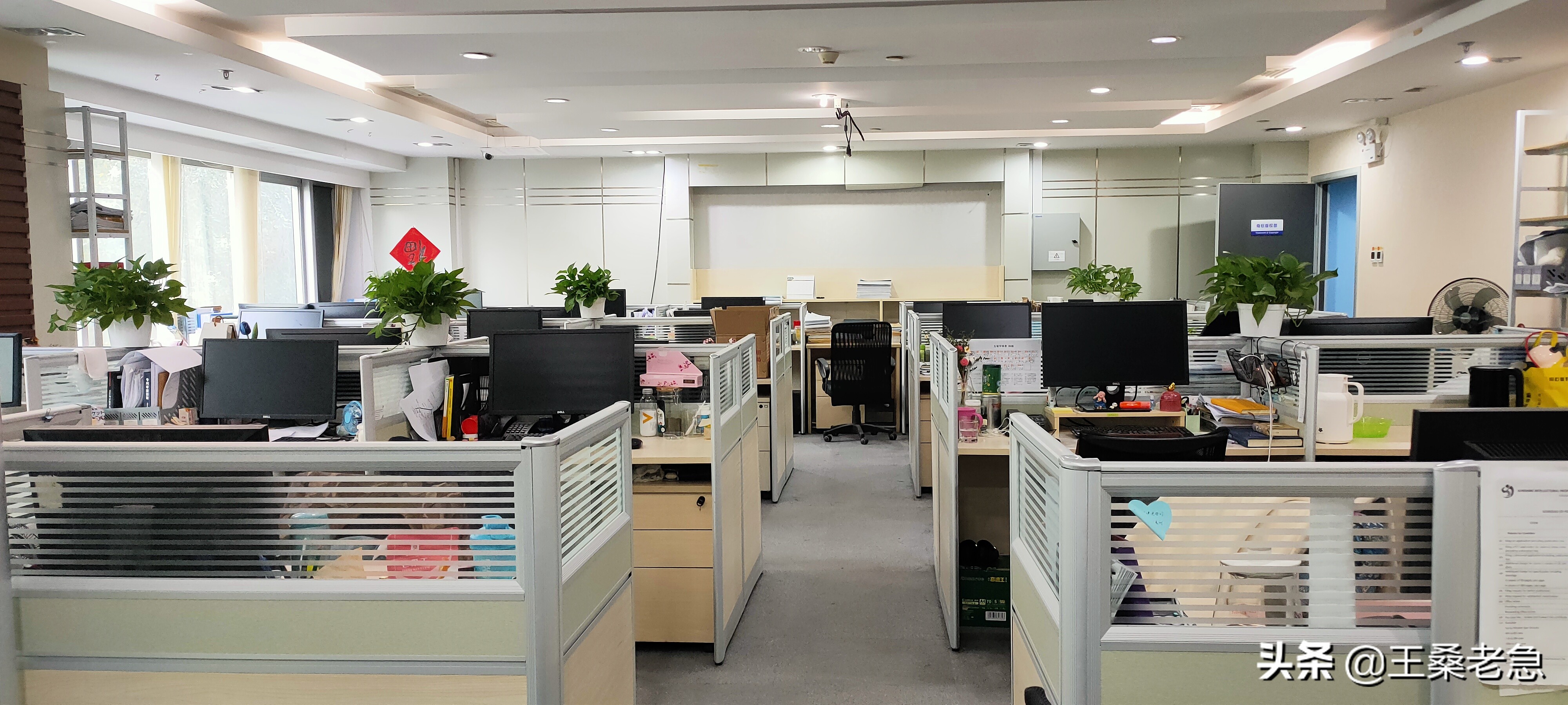 阳光三务高质量宣传片,三聚阳光无锡