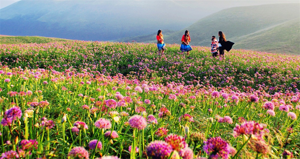 贵州人口最多的市,贵州人口最多的县