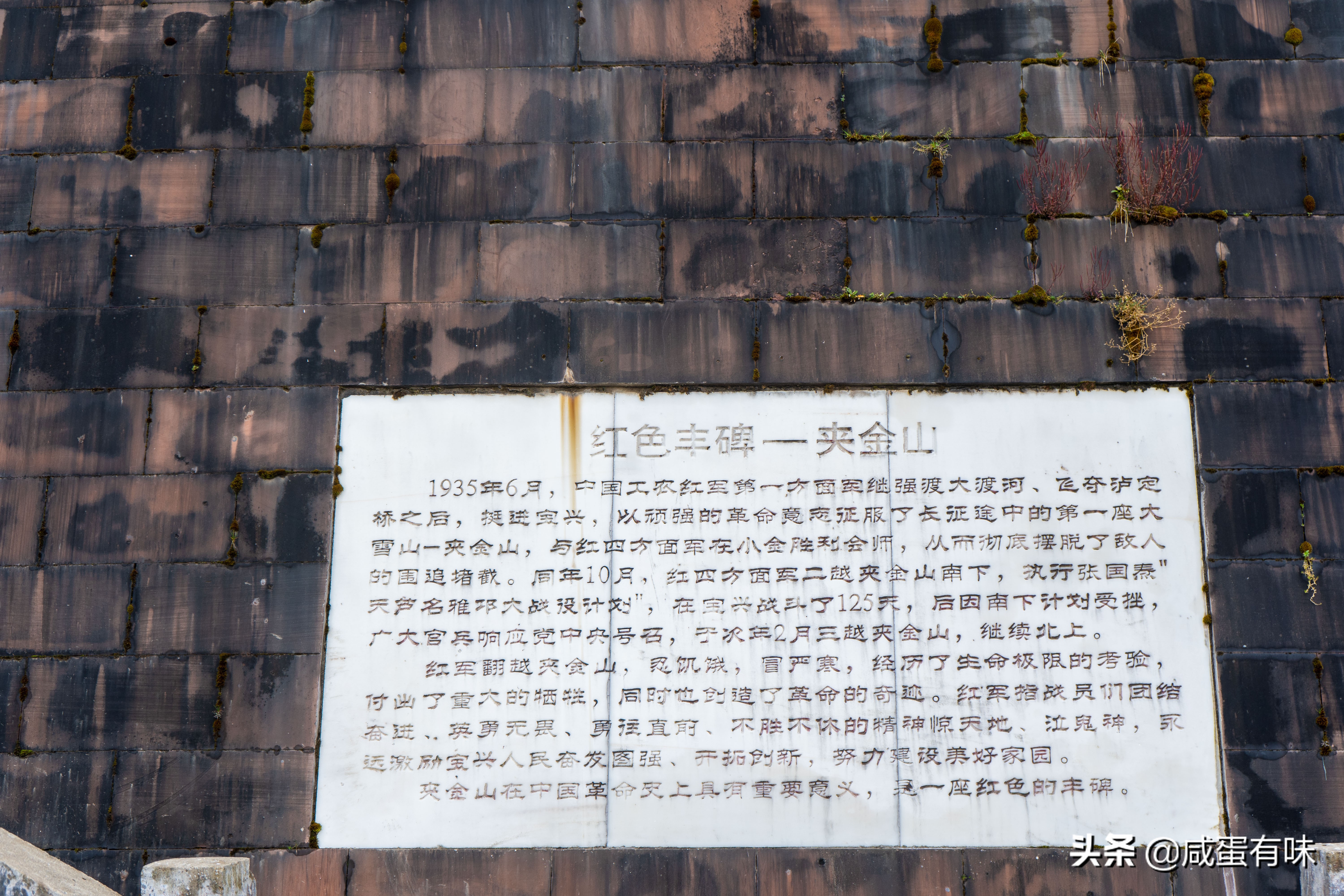 你好，夹金山：让我遇见不一样的你