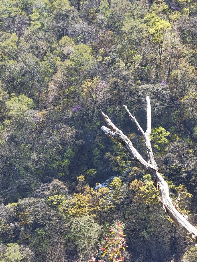 百花山下,百花山下生态庄园