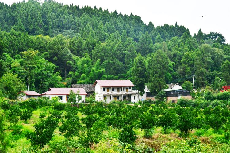 涔愯嚦鑽疯姳鎽勫奖浣滃搧娆ｈ祻,涔愯嚦鍗拌薄鎽勫奖