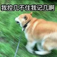 怎么通过狗狗便便颜色判断,狗狗吐绿色的呕吐物要不要看