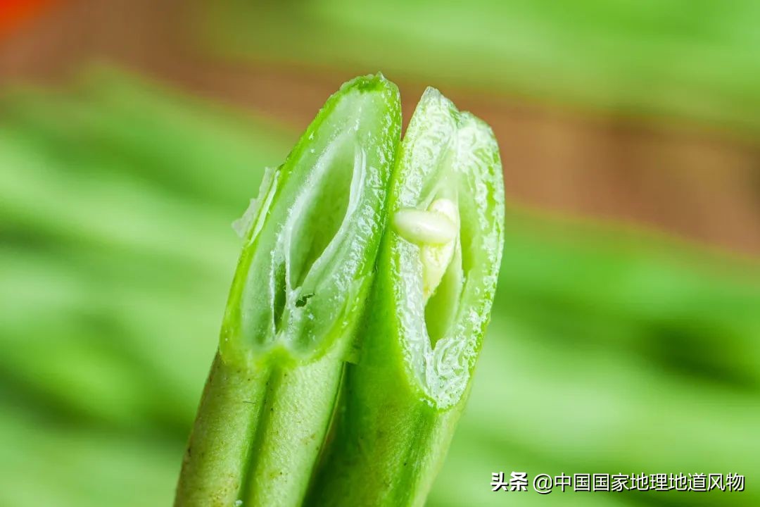 河南人吃豆角,南方人吃豆角