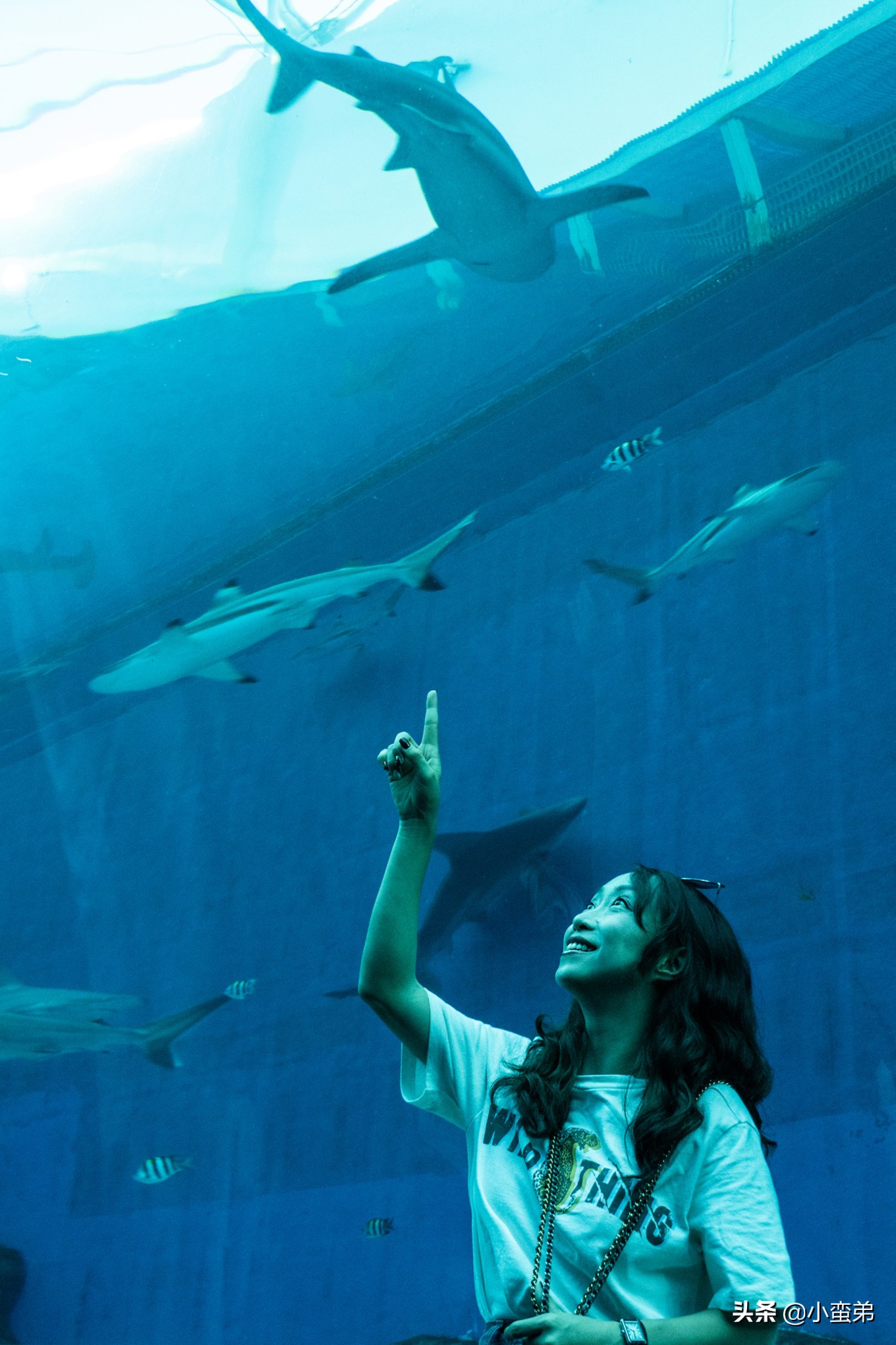 5年之许,小白逆袭重返新加坡