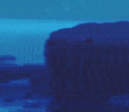 马桶水箱放一瓶洁厕液,马桶水箱里的脏东西冲不下去