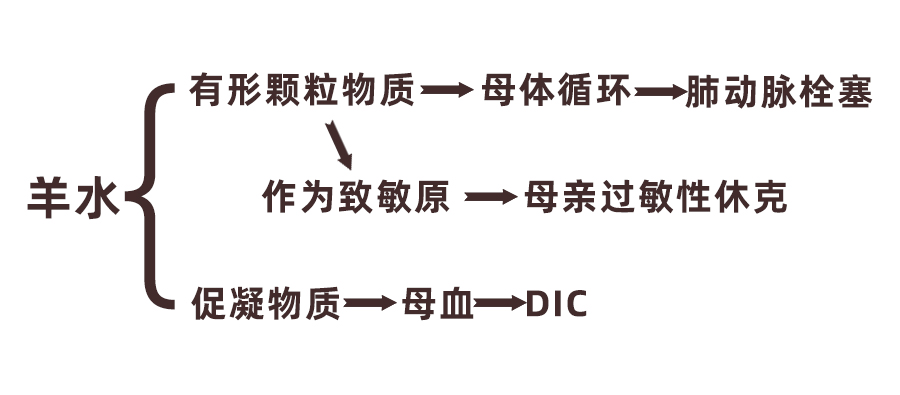 羊水栓塞都有谁抢救成功过,产科科普羊水