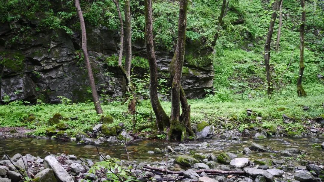 一起爬山吗？西安这些山不仅野，还不要钱~
